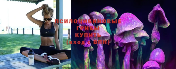 гашиш Абаза