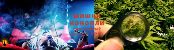 сатива Покров